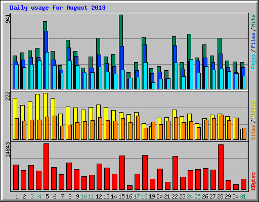 Daily usage for August 2013