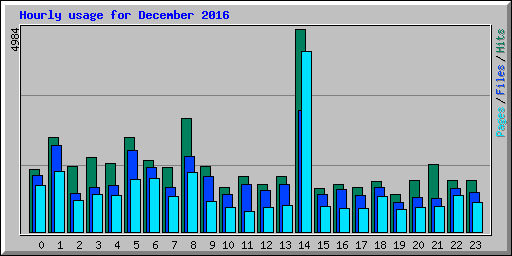 Hourly usage for December 2016